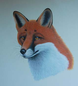 the fox pub sign
